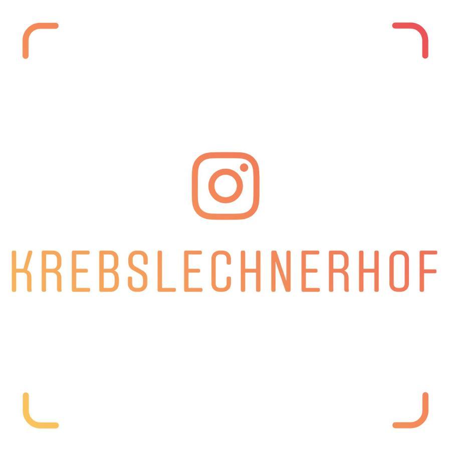 ブルーニコ Krebslechnerhofヴィラ エクステリア 写真